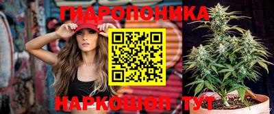 каннабис Аргун