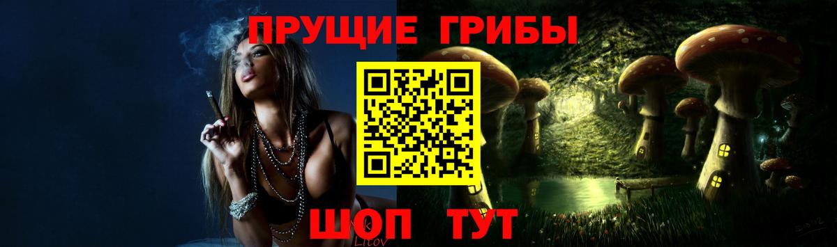 Балахна  Галлюциногенные грибы Psilocybe  где купить наркоту  Вход с VPN  Псилоцибиновые грибы ЛСД 